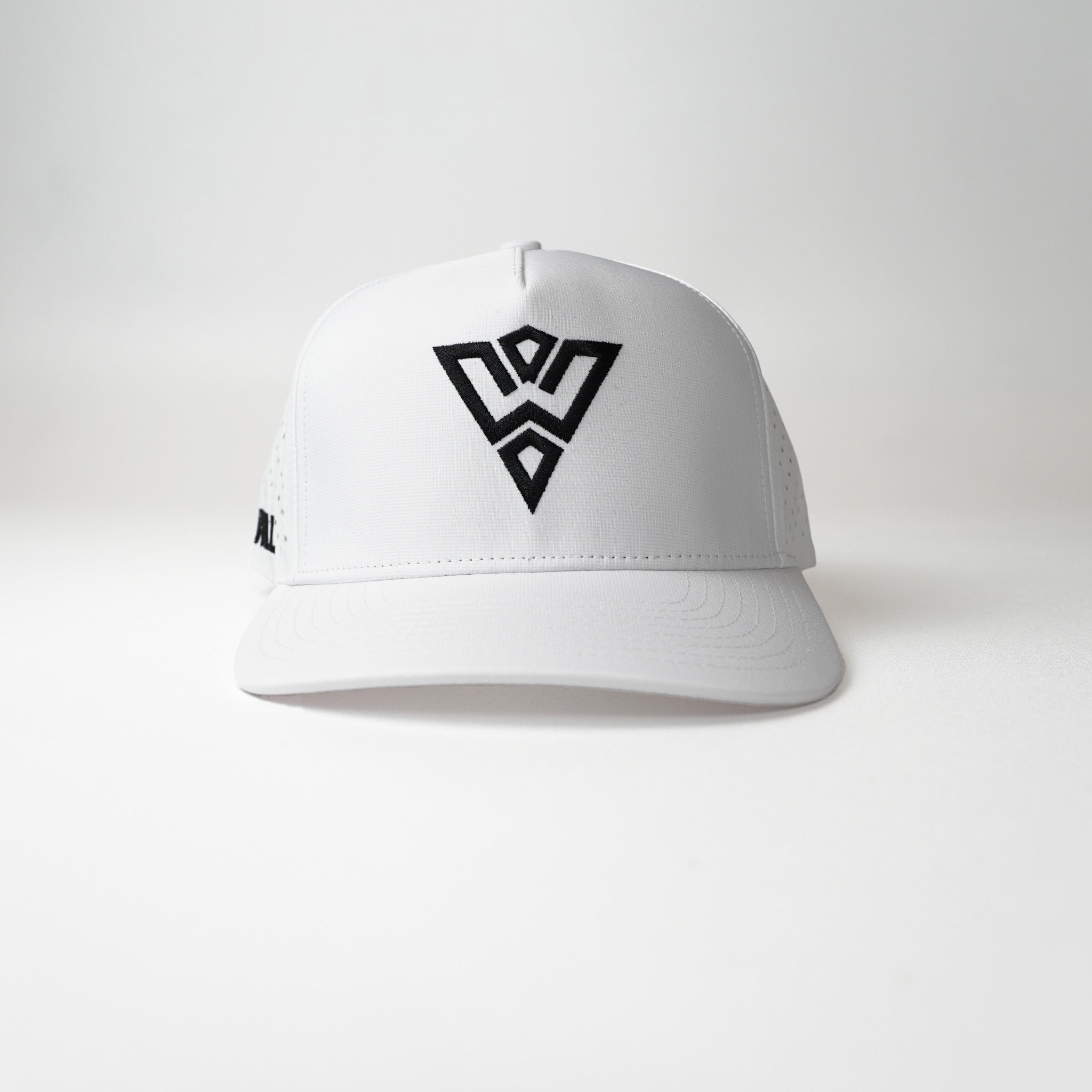 Apex Snapback
